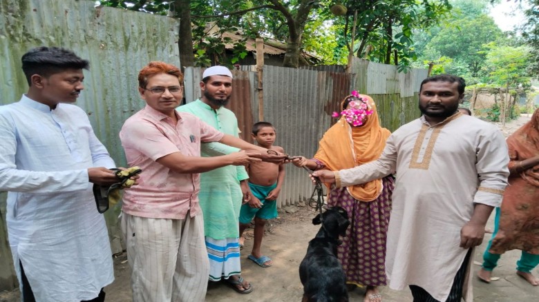 মানবতার সেবায় হিলফুল ফুজুল কল্যাণ ফাউন্ডেশন: বিধবা নারীকে ছাগল প্রদান